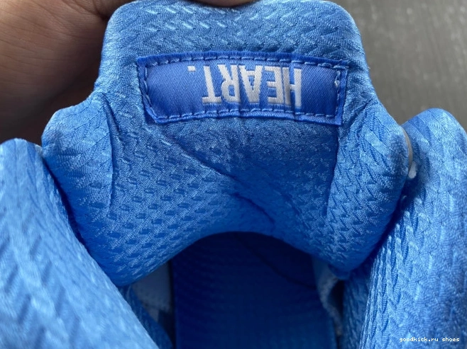 Rep 5 UNC DV1310-401 Air Jordan 0701